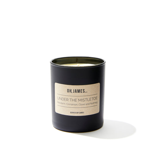 Under The Mistletoe - OH, JAMES...