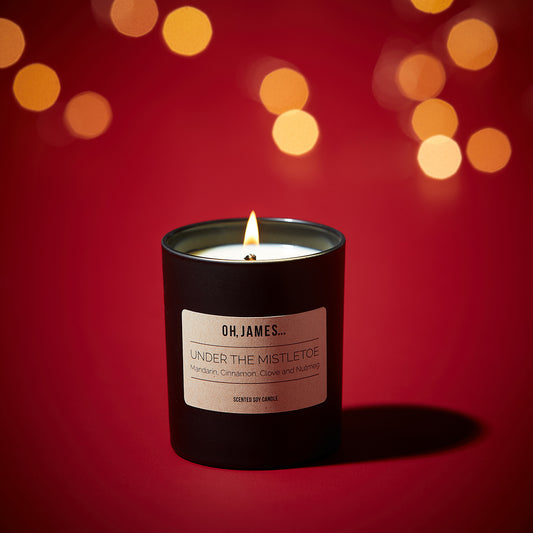 Under The Mistletoe - OH, JAMES...